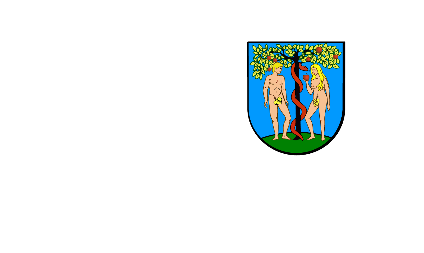 Odzyskiwanie danych Bełchatów, (woj. łódzkie)