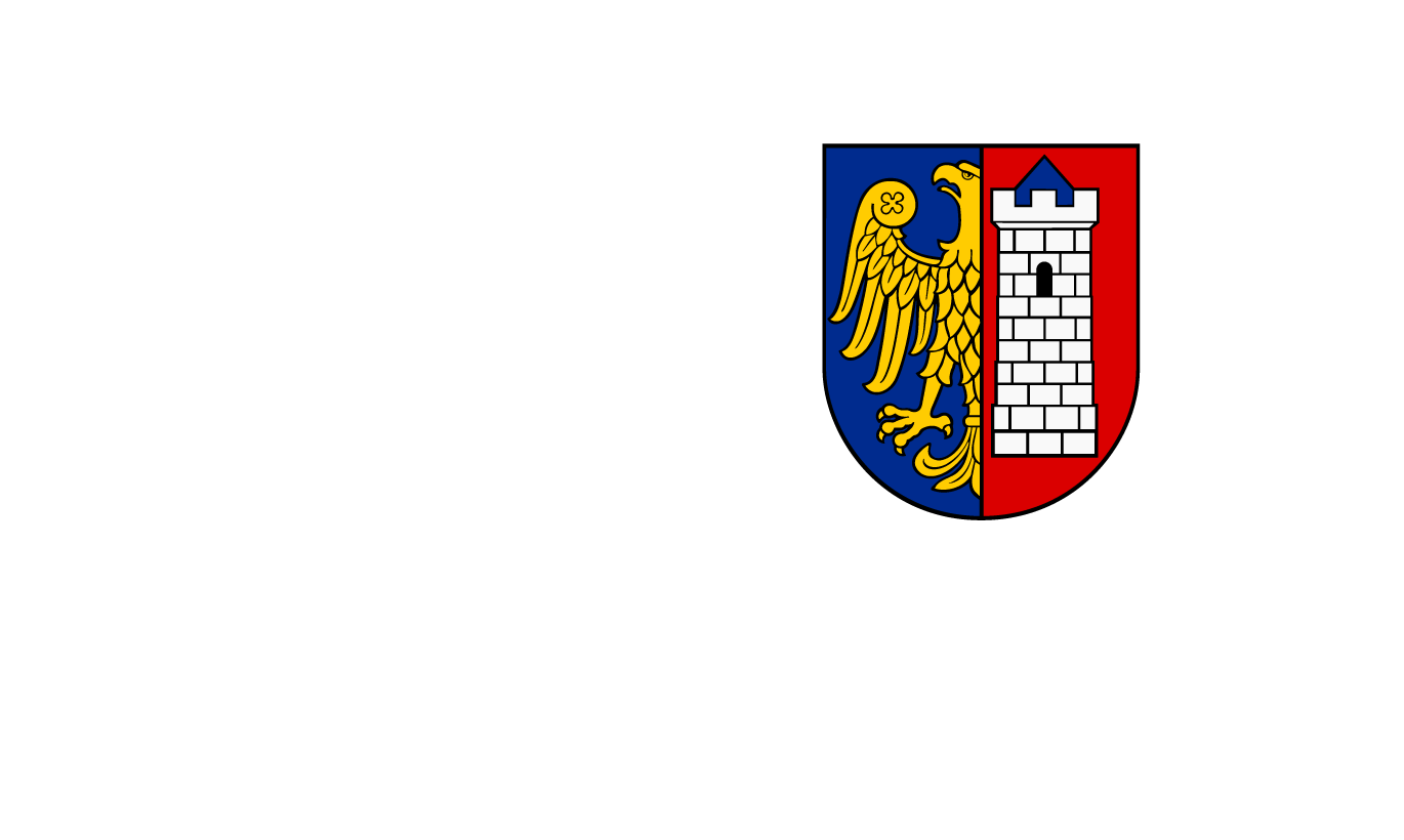 Odzyskiwanie danych Gliwice, (woj. śląskie)