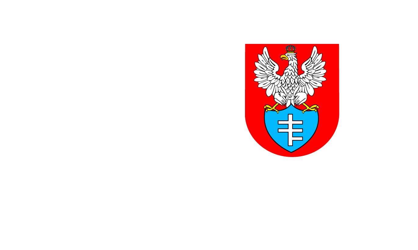 Odzyskiwanie danych Legionowo, (woj. Mazowieckie)