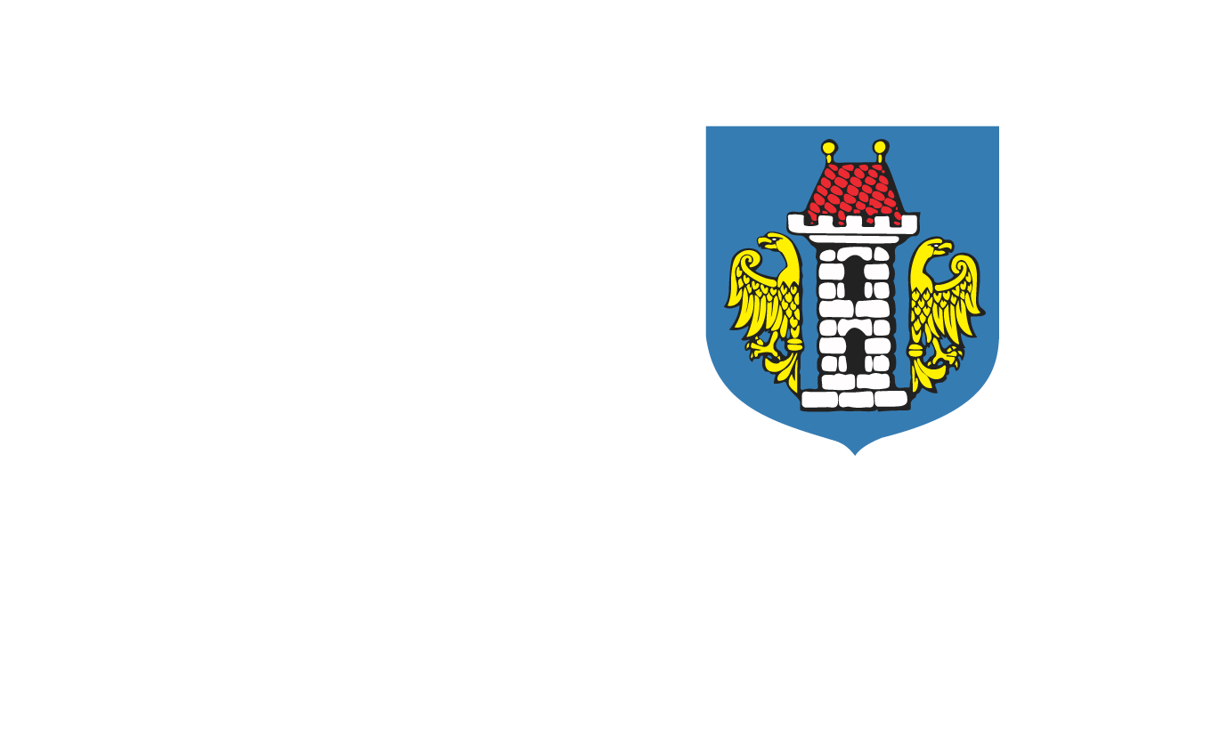 Odzyskiwanie danych Oświęcim, (woj. Małopolskie)