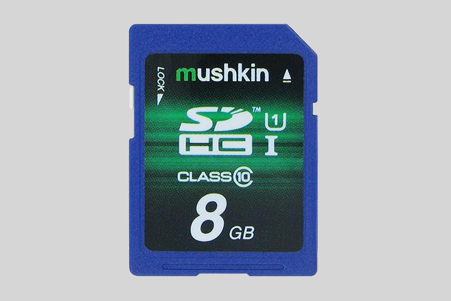 Naprawa i odzyskiwanie danych z karty pamięci Mushkin